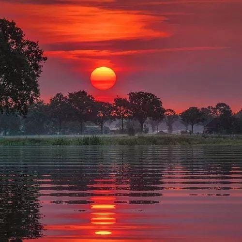 Shahroz Sabzwari avatar