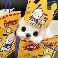 Rana Sanaullah avatar