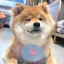 Humayun Saeed avatar